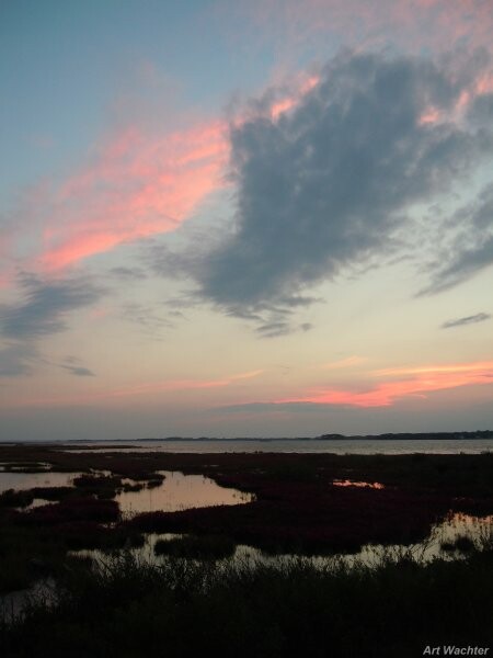 Click to return to index page