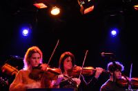 Click to see larger image