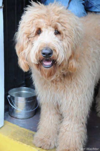 Click to return to index page