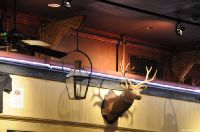 Click to see larger image