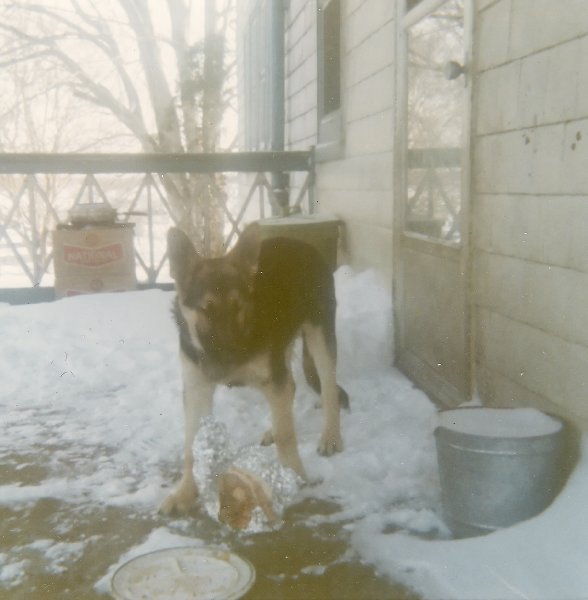 Click to return to index page